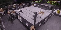 Bunny Aew On Tnt GIF by All Elite Wrestling on TNT