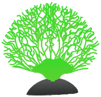 Plant Decor Sticker by AQUAEL
