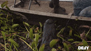 Swamp People Hunting GIF by DefyTV