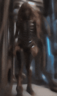 Sa Sd GIF by Aleksey Efremov