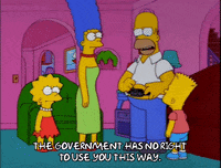 homer simpson episode 20 GIF