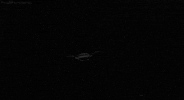 black and white GIF by Head Like an Orange