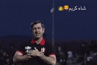 Football Fan GIF