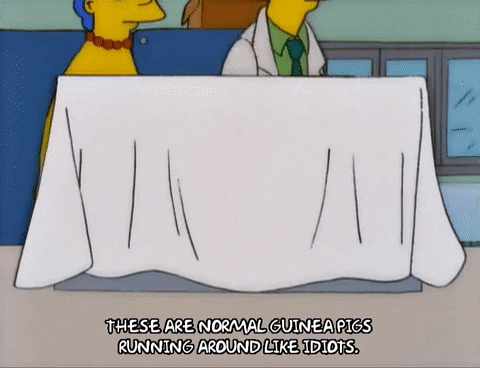 homer simpson display GIF