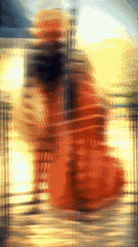 Bee Violin GIF