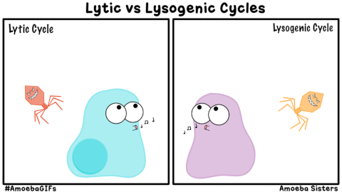 microbiology GIF