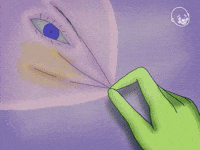 Face Pull
