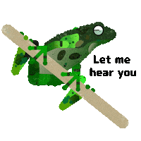 Frog Vietnam Sticker by Zoo Leipzig