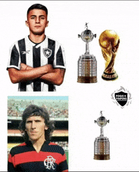 Copa Do Mundo GIF