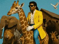 Noahs Ark Lion GIF by Jukebox Saints