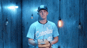 University Of North Carolina Baseball GIF by UNC Tar Heels