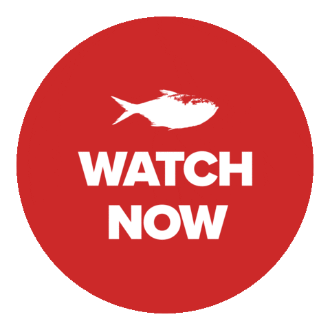Watch Now New Video Sticker by redfishstream