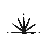 BlackCactusTassels blackcactus Sticker