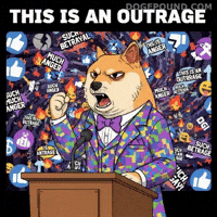 Angry This Is An Outrage GIF by Doge Pound