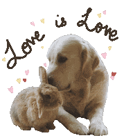 Love Is Love Bearhugs Sticker by Little Blue Fairy