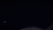 Reveal Trunk GIF by ABC Network