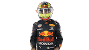 Red Bull Sport Sticker by Oracle Red Bull Racing