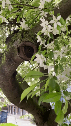 chaseburns giphyupload GIF