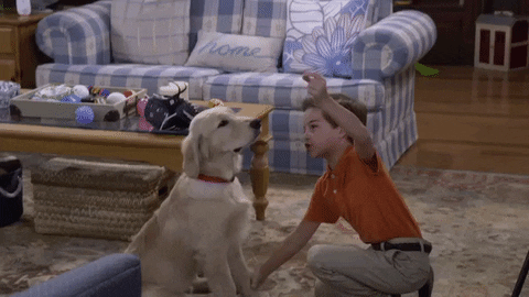 110 GIF