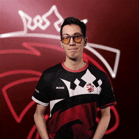 Hmmmmm Shrug GIF by Austrian Force eSports