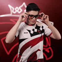 What Is This Yes GIF by Austrian Force eSports