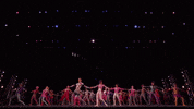 Royal Ballet Dancing GIF by Royal Opera House