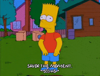 bart simpson episode 3 GIF