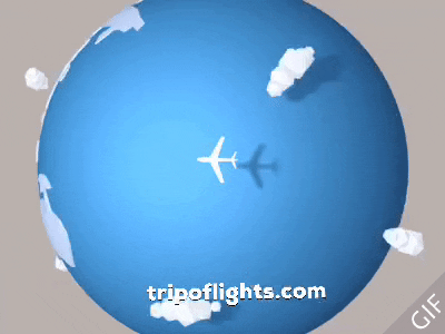 Travel World GIF by tripo