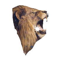 lion STICKER by imoji