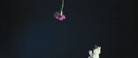 maren morris the middle lyric GIF by Interscope Records