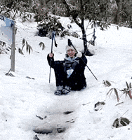 Yoni GIF