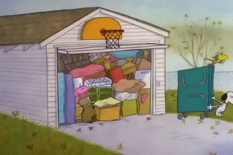 charlie brown thanksgiving GIF by Peanuts