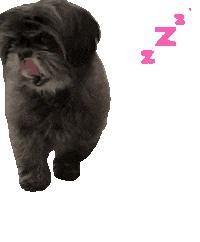 Daphne Dog Sticker
