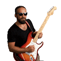 Guitar Hudba Sticker by TRIAD