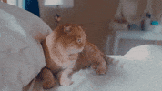 now that i found you shrampton GIF by Carly Rae Jepsen