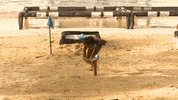 peso exathlon GIF by Band