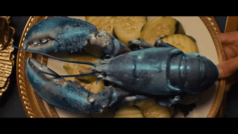 Lobster A24 GIF by VVS FILMS