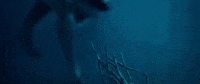 sony home ent GIF by The Shallows