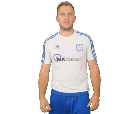 Football Soccer Sticker by SV Menden 1912 e.V.