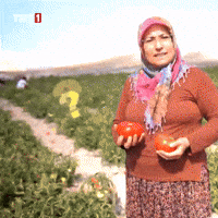 Question What GIF by TRT