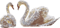 swan STICKER