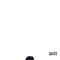 Swipe Up Sticker by Tanzschule Weiss