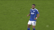 Football Yes GIF by FC Schalke 04