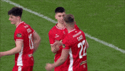 Celebration Hugs GIF by Cliftonville Football Club