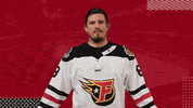 Lets Go Win GIF by Indy Fuel Hockey