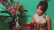 Dont Go Yet GIF by Camila Cabello