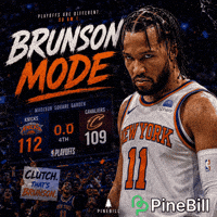 New York Knicks Basketball GIF by PineBill