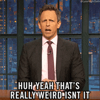 Seth Meyers Lol GIF by Late Night with Seth Meyers