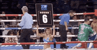 toprank fight sports sport boxing GIF