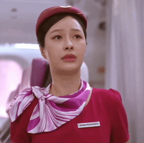 Nervous Airplane GIF